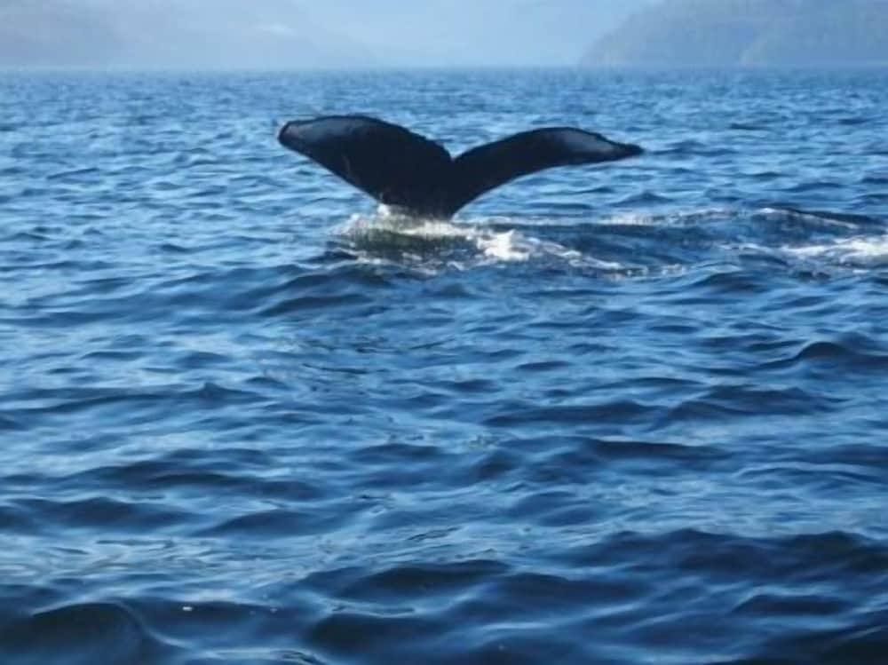 Nootka Island Lodge