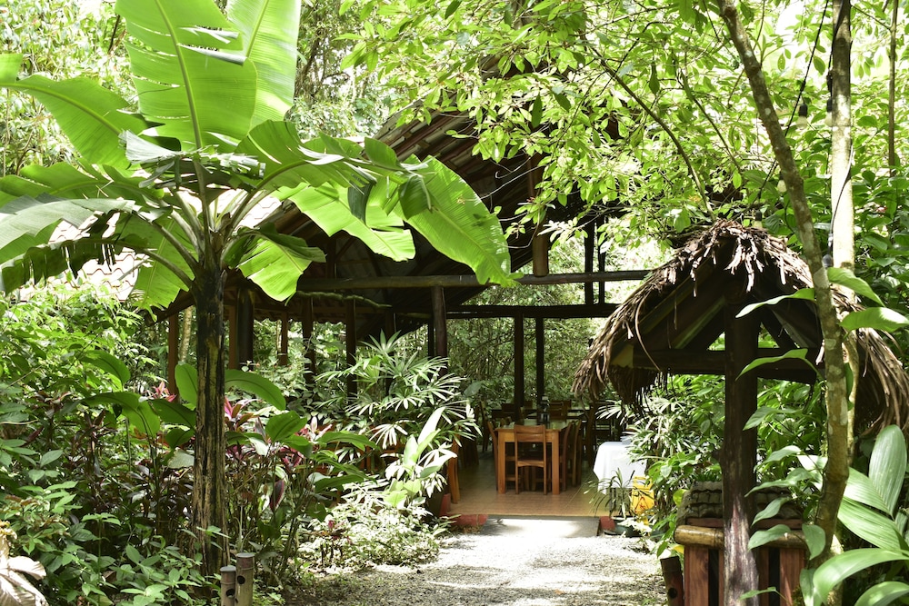Arenal Oasis