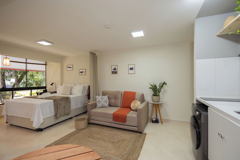 Studio Near the Park in Asa Norte Sce114