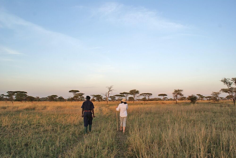 Ikoma tented Camp