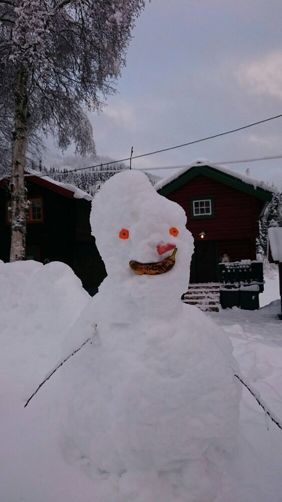Cozy Cabin Retreat in Scenic Valley, E6 South of Trondheim