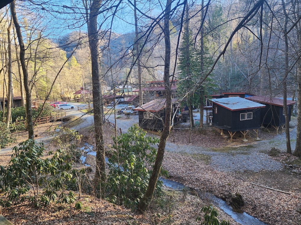 Black Bear Resort