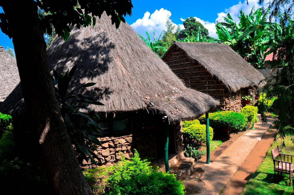 Photo 38