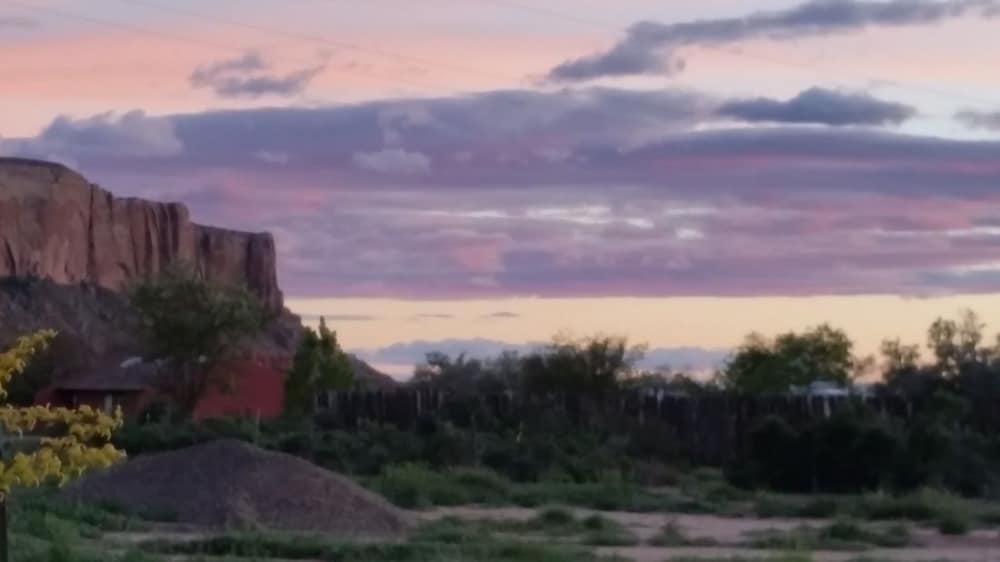 Stone Lizard Vacation Rentals
