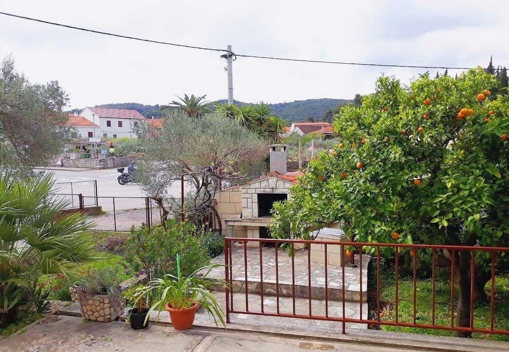 Liza - 80 M From the sea - A2 view 4