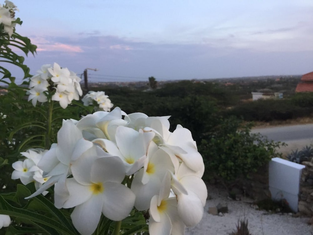 Villa Bon Vista