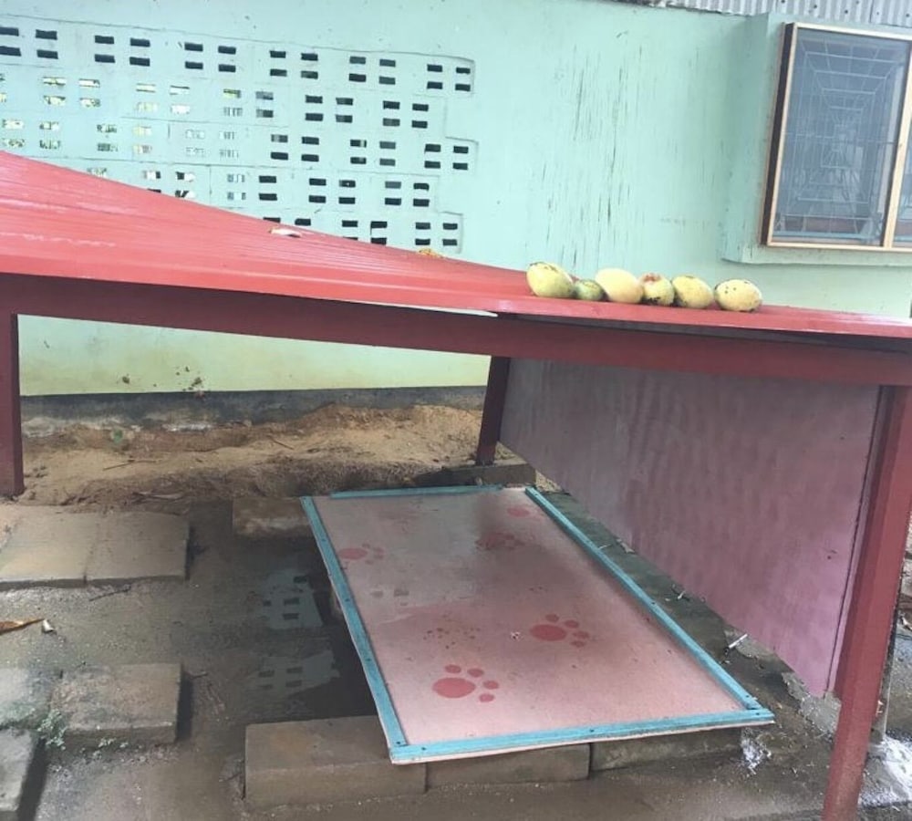 Unu Pikin Guesthouse