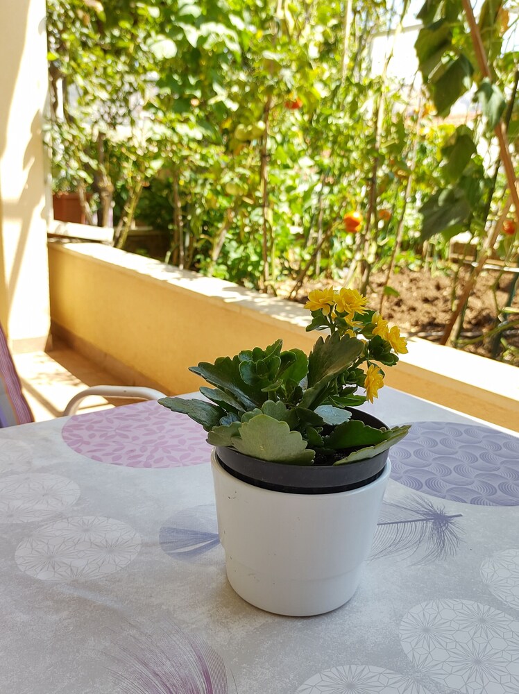 Anna Guesthouse