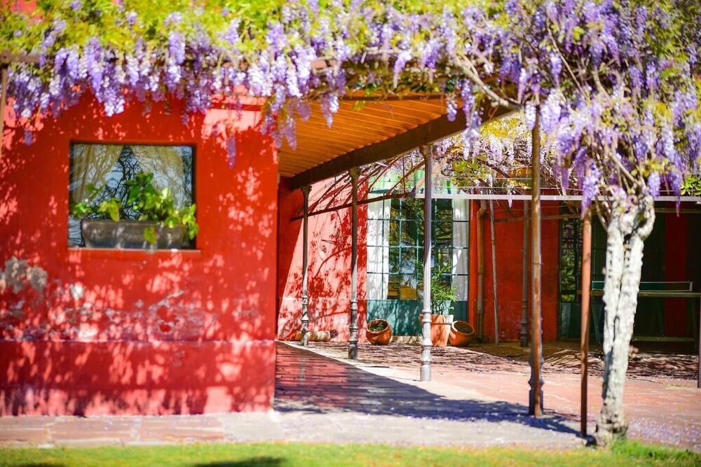 Estancia La Violeta