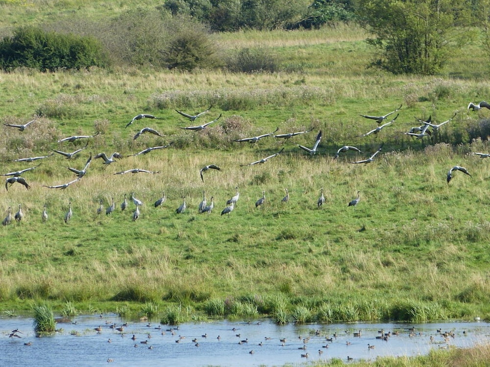 aan de Pastorie