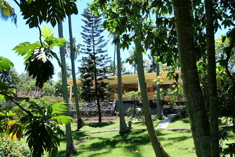 Photo 31