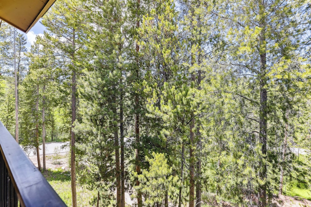Cozy Winter Park Condo: Bike, Ski, & Hike!