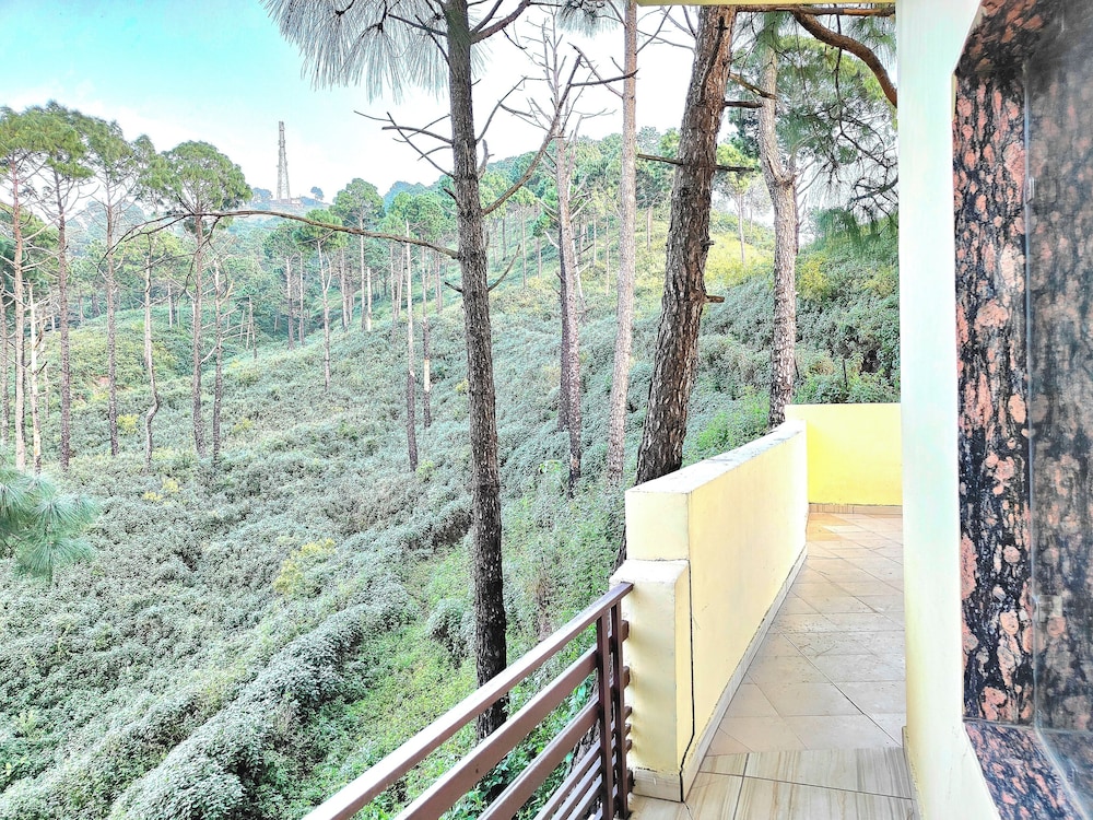 The Cloud Homestay
