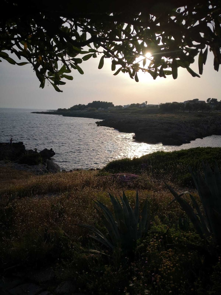 Villa Elisa B&B, photo 51