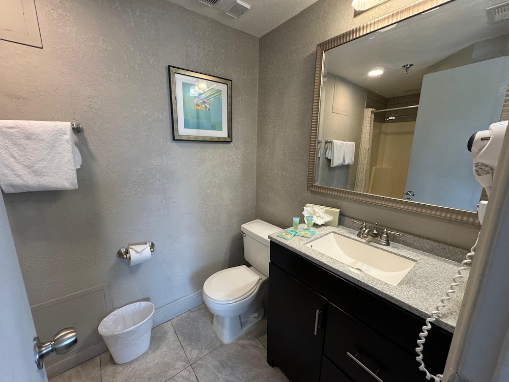 Enclave Swanky