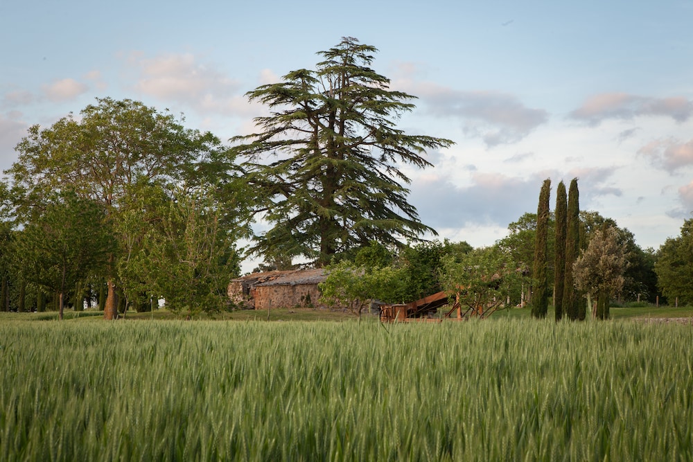 Tenuta Castelverde