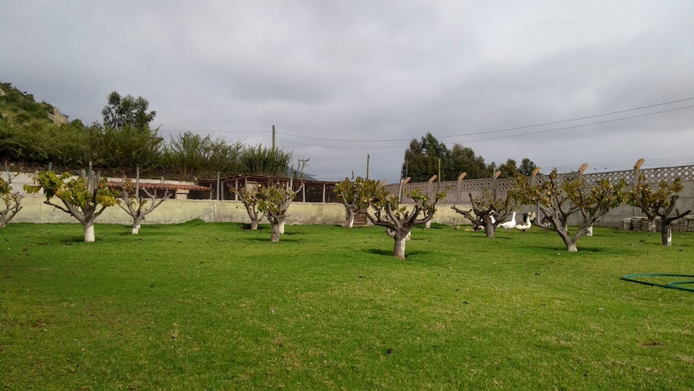 Parcela 20 Sector San Ramón