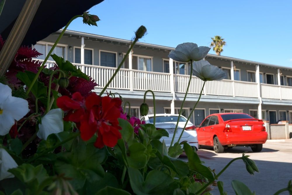 The Shores Inn and Beach Houses