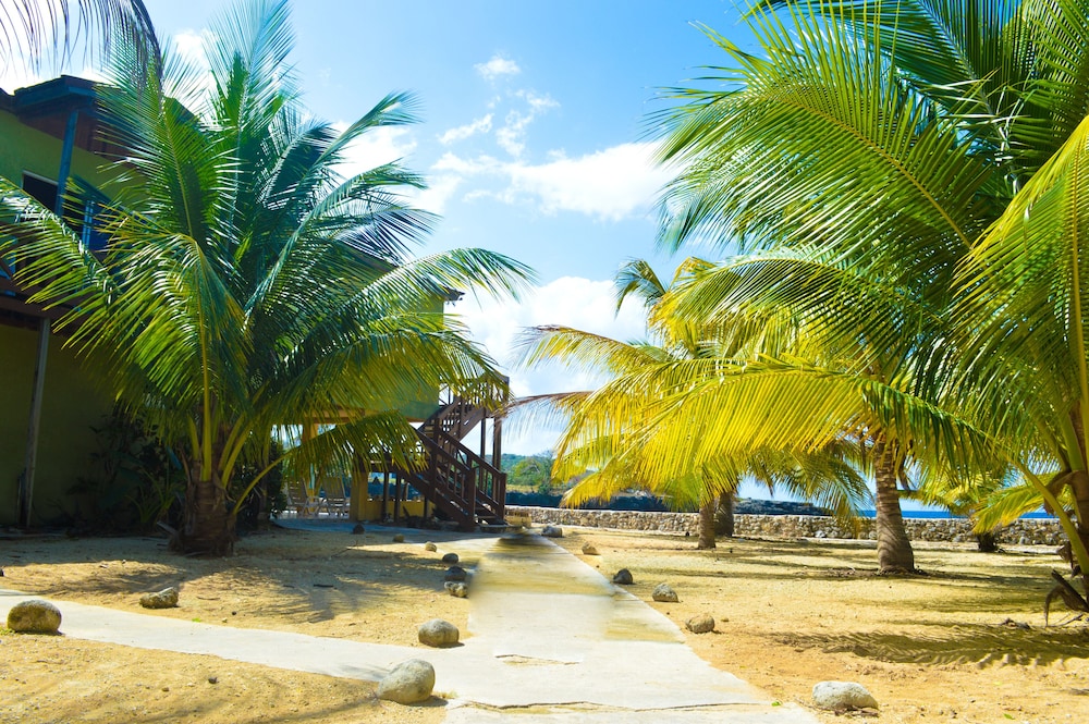 Le Mer Guest House & Villa - Lucea
