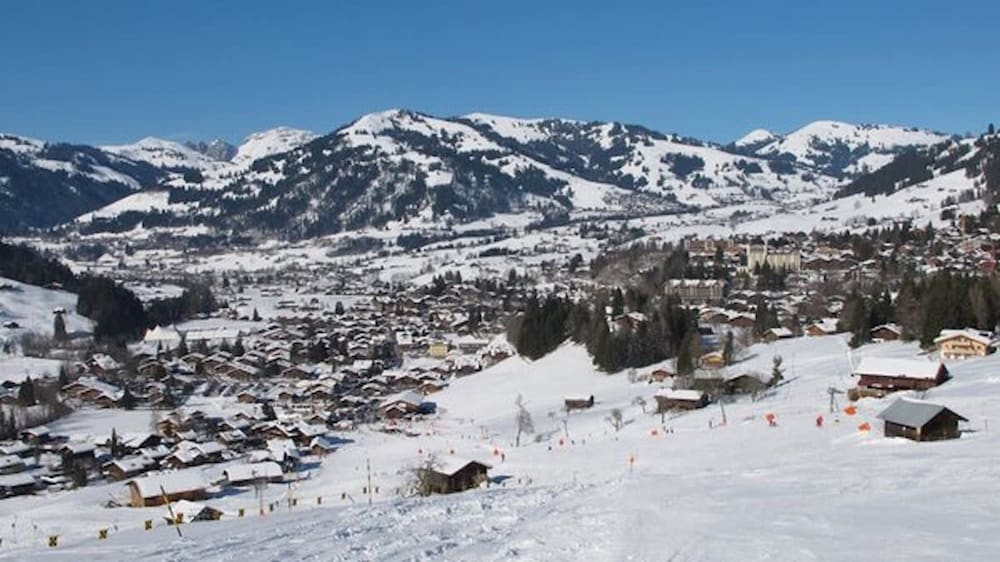 Gstaad Switzerland Skiing From Exclusive Rougemont Chalet Apartment view 5