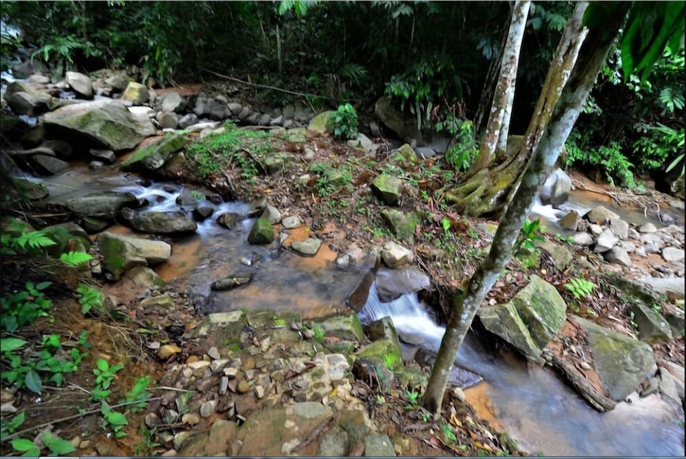 Tanarimba Bentong, photo 54