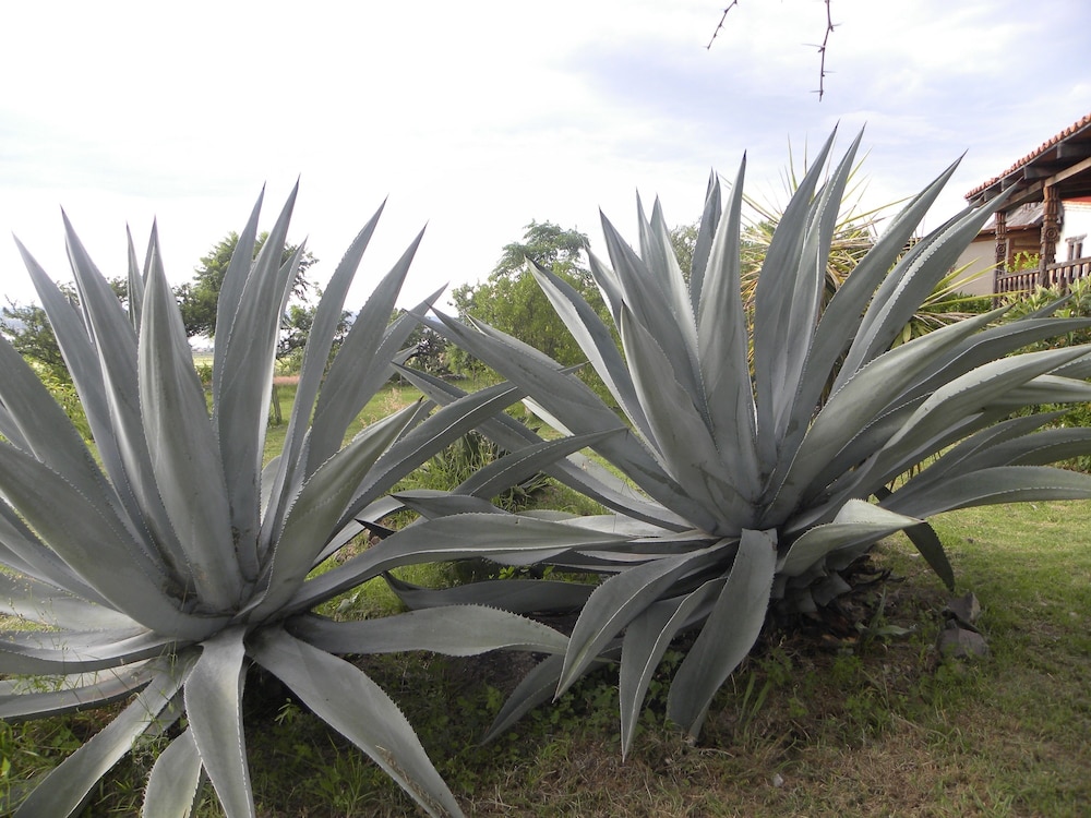 Vistahermosa
