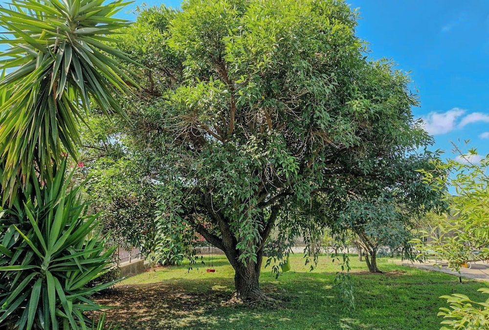 Villa il Profumo degli Aranci