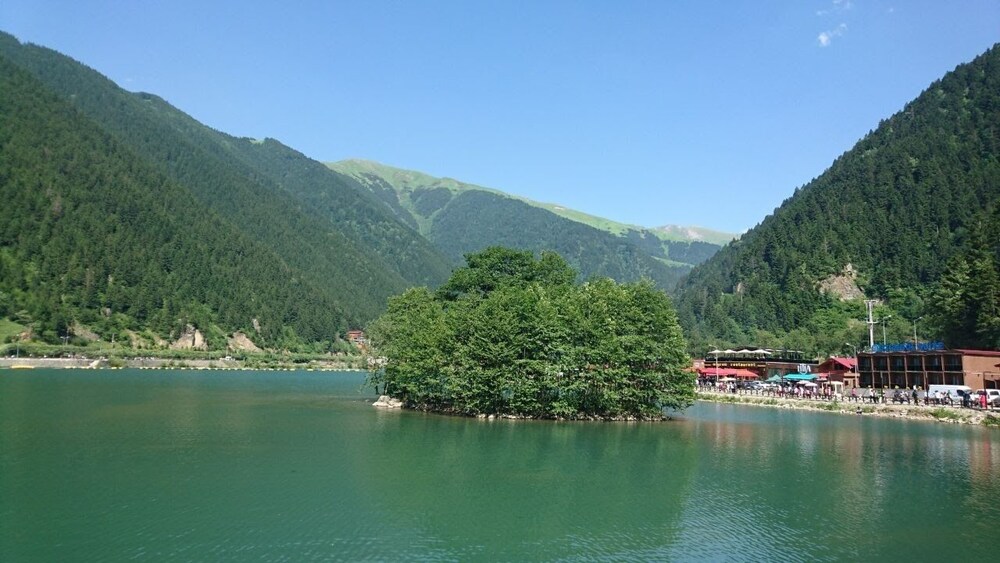 Photo 18
