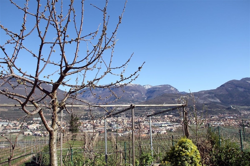 B&B La Betulla