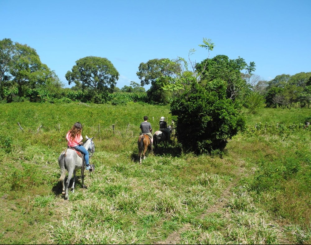 Finca San Juan de la Isla