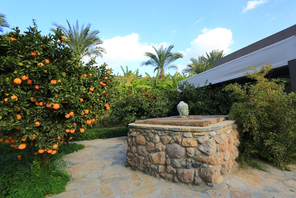 The LifeCo Bodrum İyi Yaşam Merkezi - Sadece Yetişkinler - Image 72