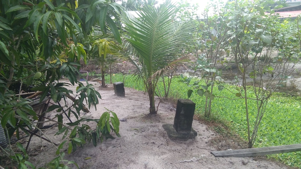 Photo 16