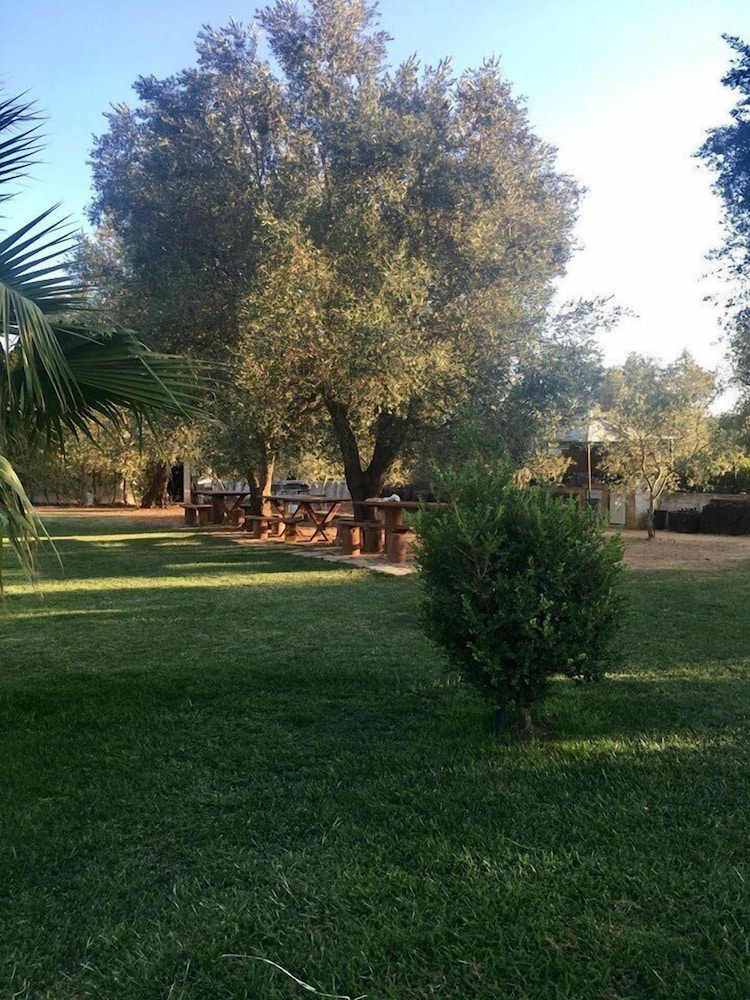 Photo 27