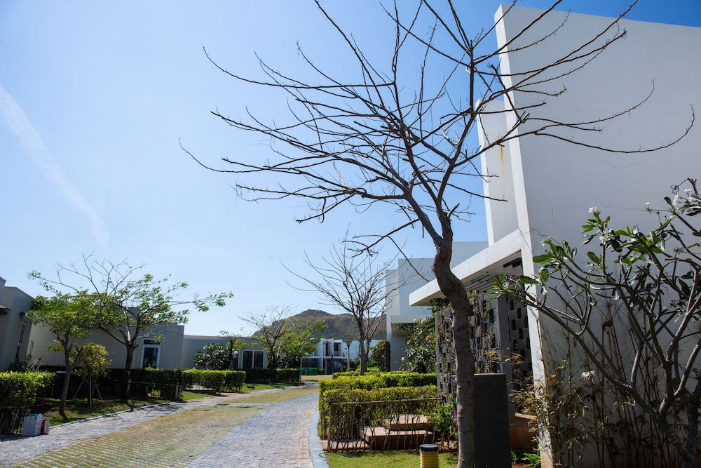 Photo 41