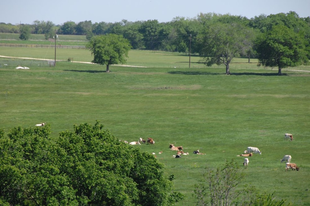 Beaumont Ranch
