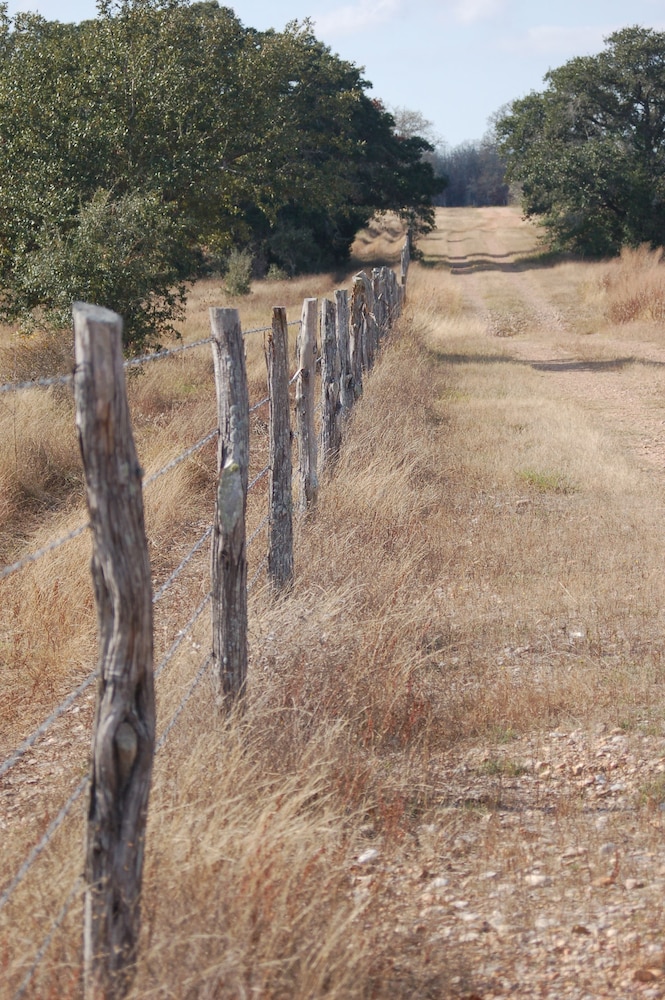 Night Bird Ranch
