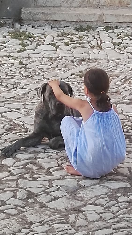 Villa Zottopera photo 5