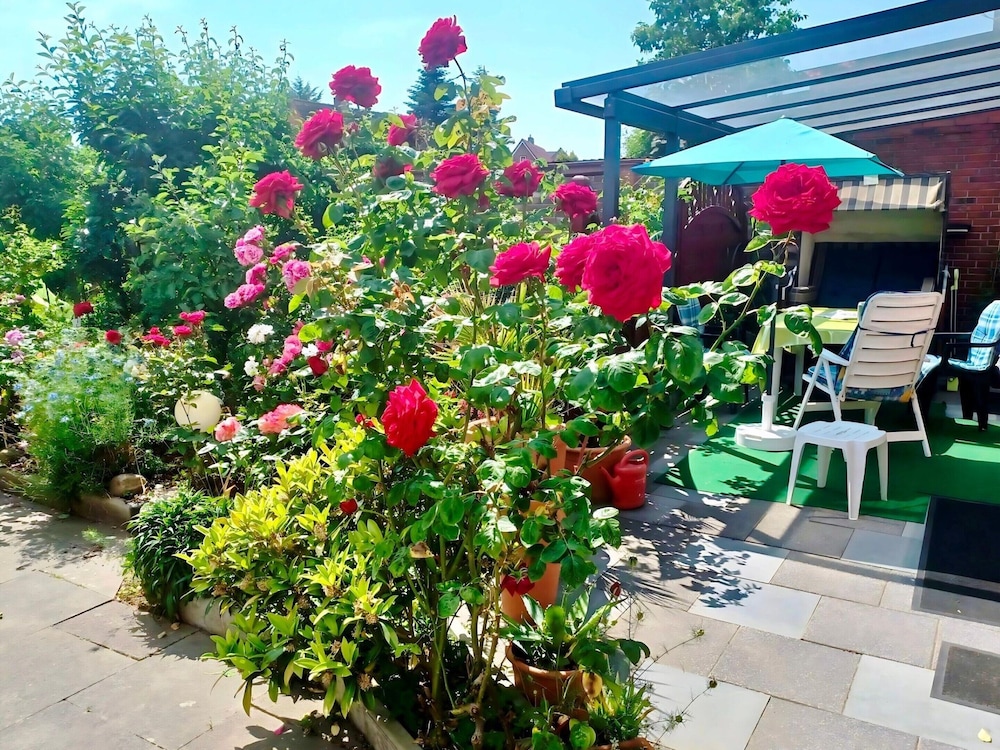 Apartment in Bsum With Garden