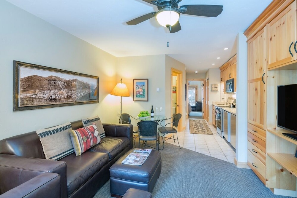 Telluride Ski Resort CO - Viking Lodge Condos
