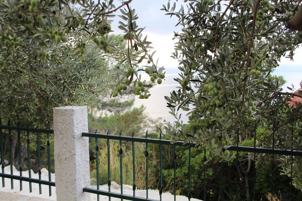 Apartment Tafra 4