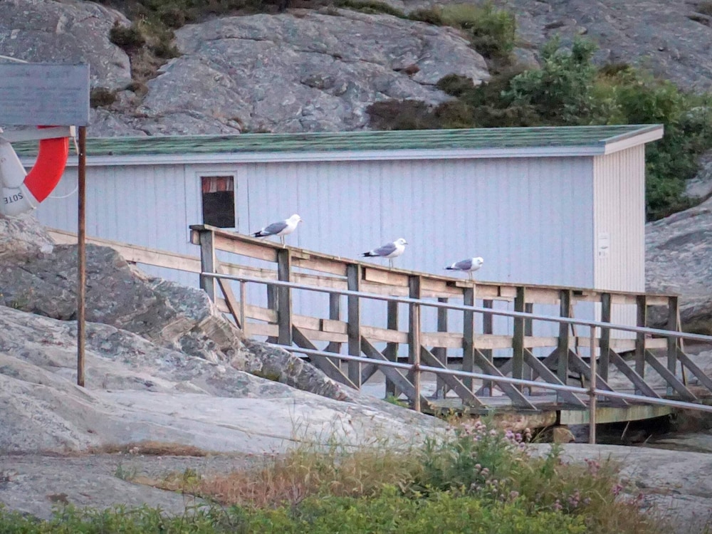 Cozy Archipelago Stay in Smogen view 4