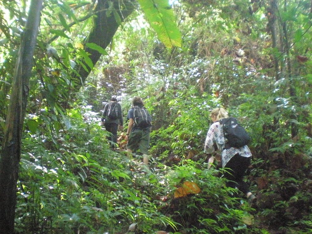 Tepi Sawah Lodge