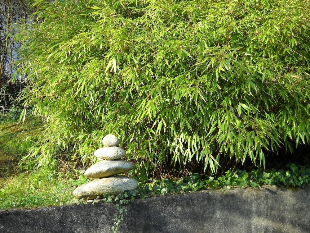 Photo 32