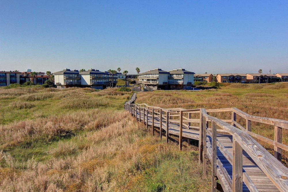 The Beachhead 308