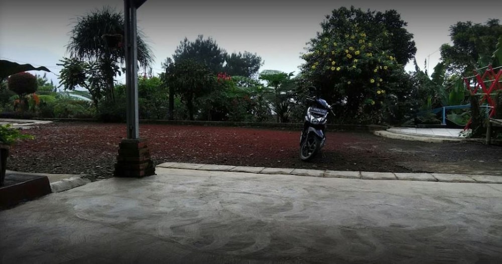 Photo 17