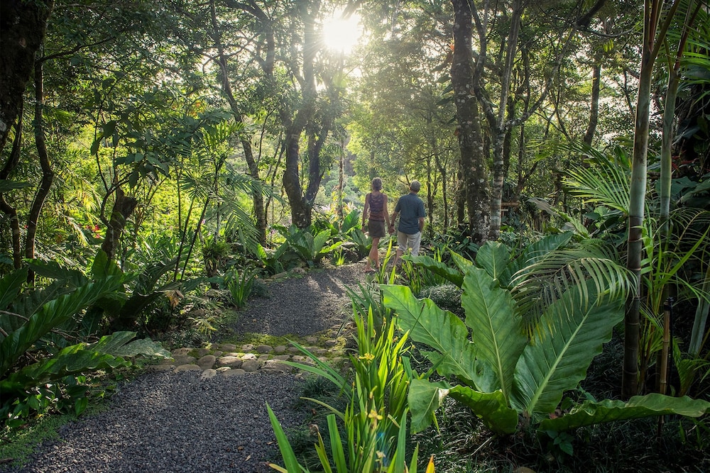 Monteverde Cloud Forest Vacations - Monteverde Lodge  Gardens by Boena - Property Image 5