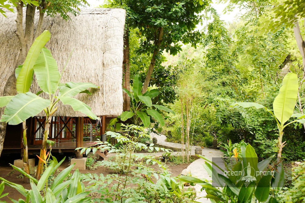 Ocean Prana - Hostel