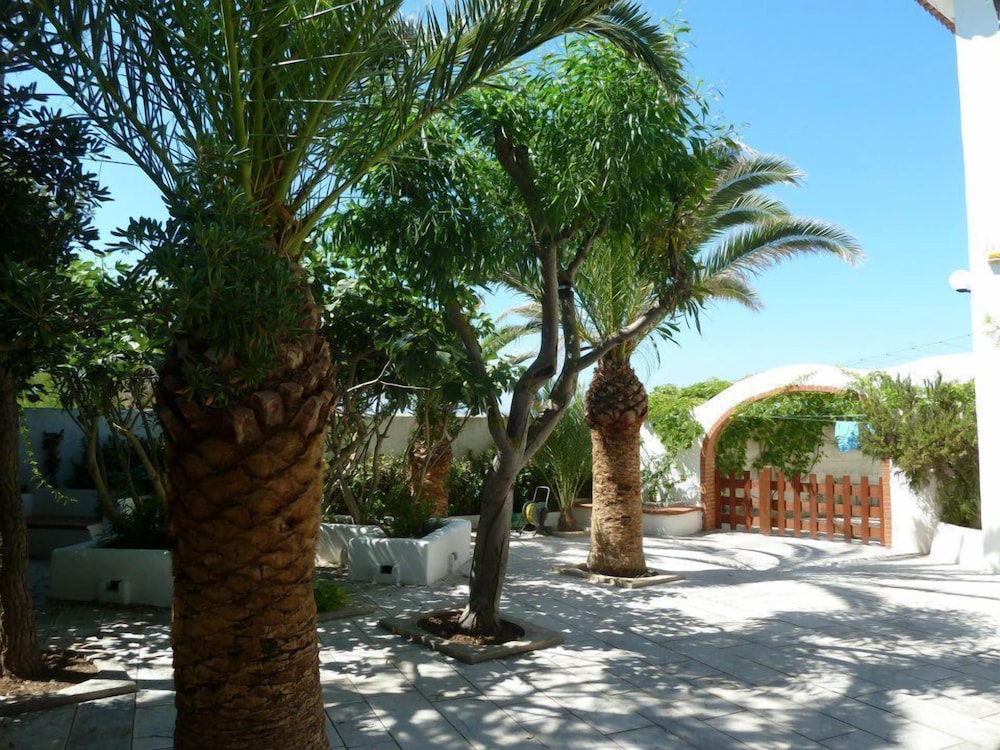 Villa Elisa B&B, photo 35