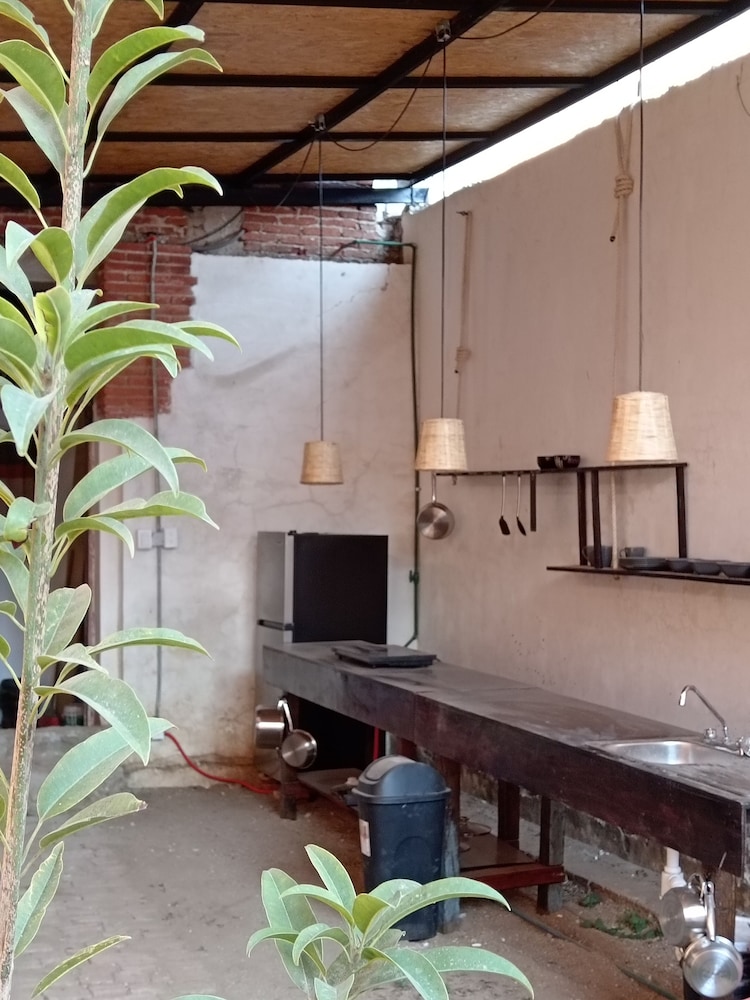Iguana Co-living