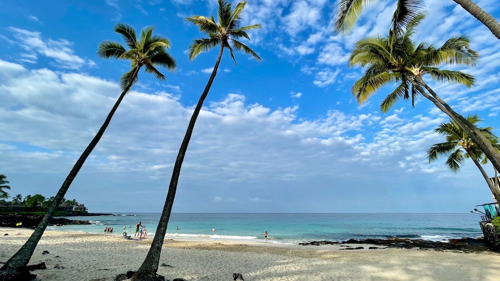 Sophisticated Oceanfront Retreat - Air-conditioned - Walk to Beach - Vrkcv